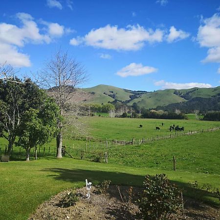 Paeroa Pukeko Lodge Экстерьер фото