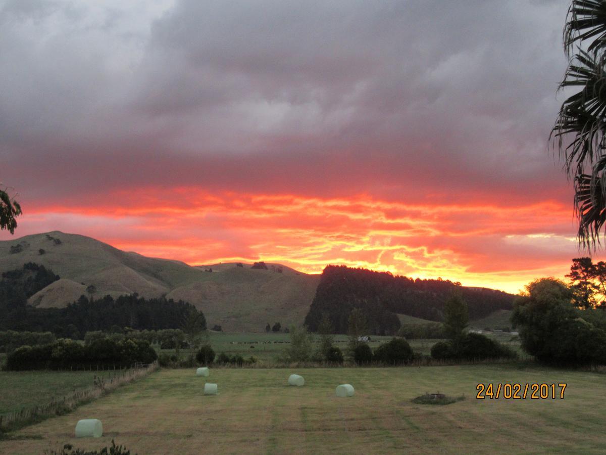 Paeroa Pukeko Lodge Экстерьер фото