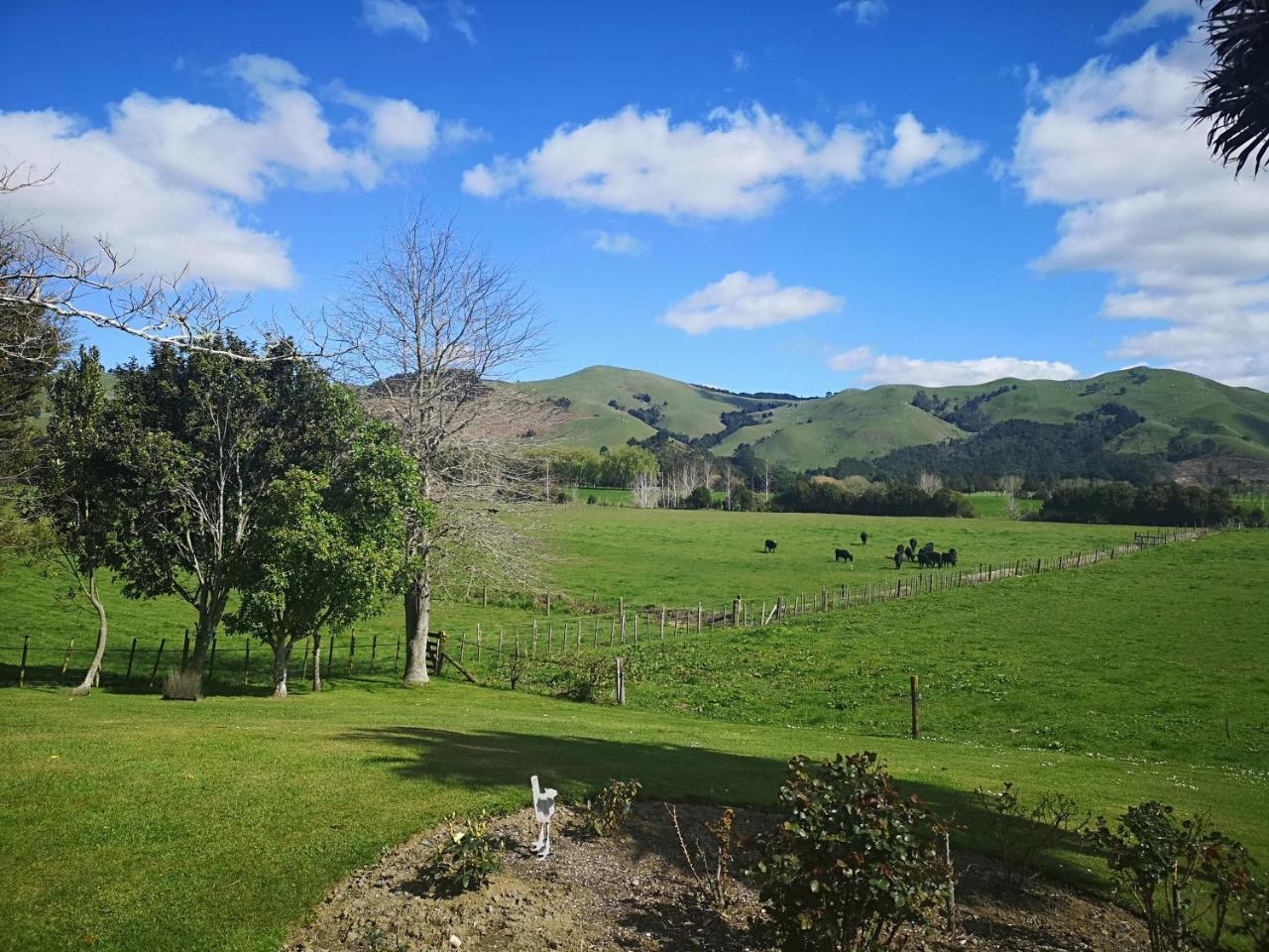 Paeroa Pukeko Lodge Экстерьер фото